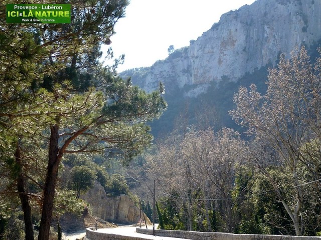 27-beautiful road in provence