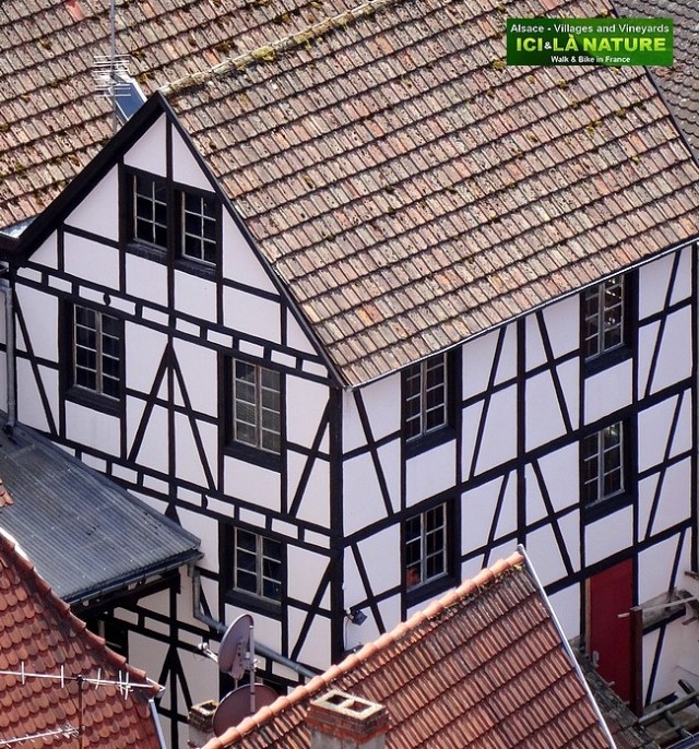 37-discover alsace by bike