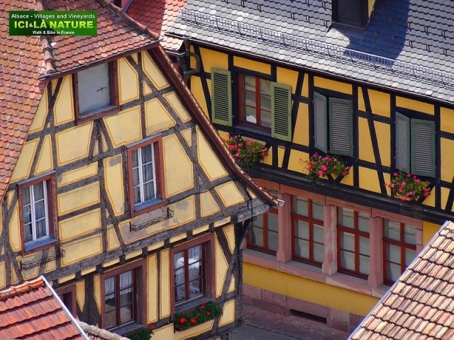 38-alsace biking holidays