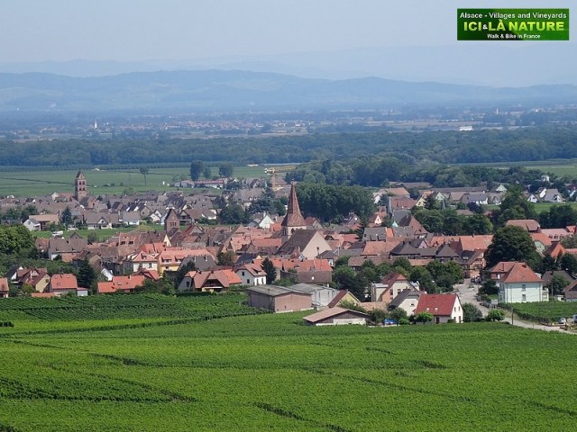 40-paysage plaine d alsace