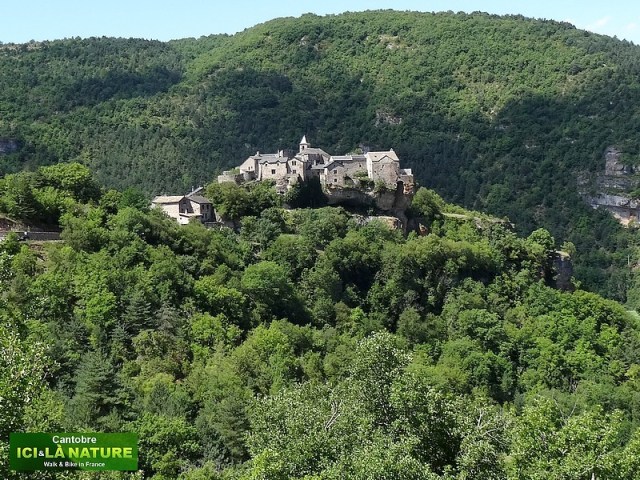 42-where to see wild nature in france