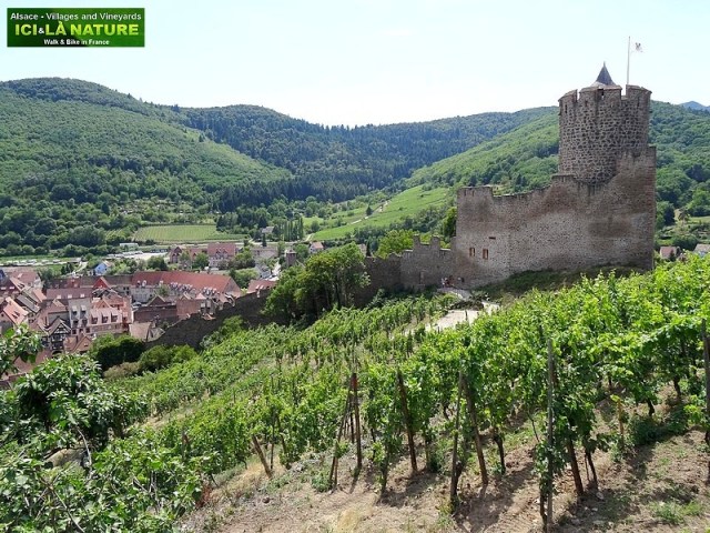 43-alsace trail by bicycle france