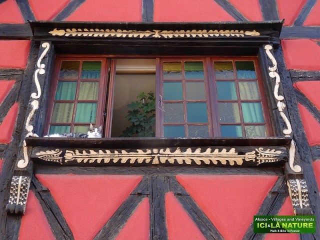 53-cats pic at the window