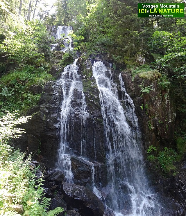 02-walking vosges mountain france