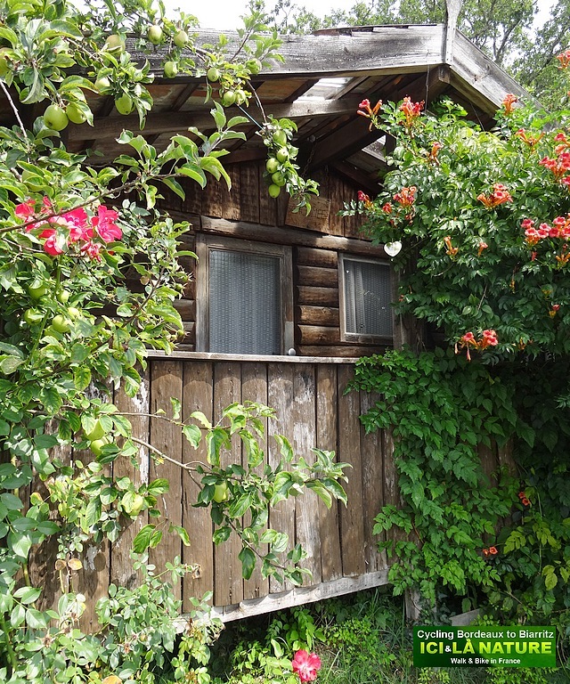 04-arcachon cycling holidays bordeaux biarritz