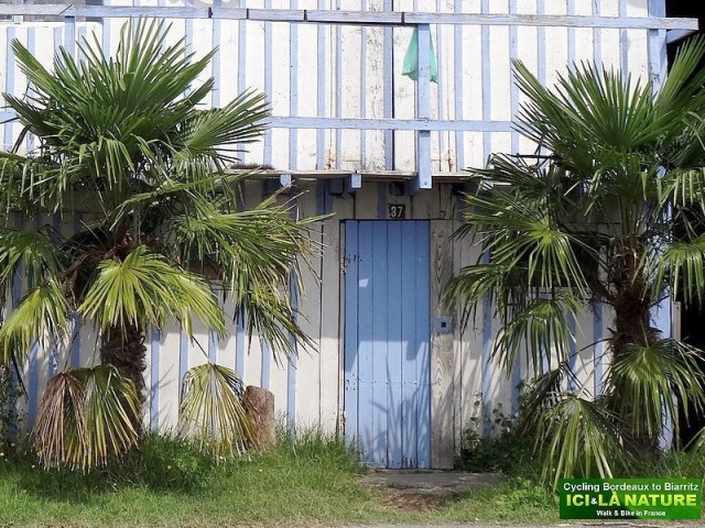 04b-port biganos bassin arcachon