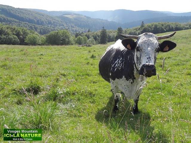 09- hiking french mountains