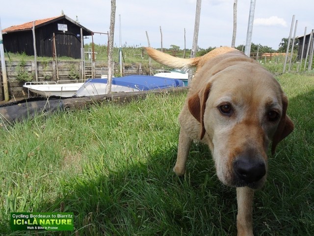 15-cycling holidays south france