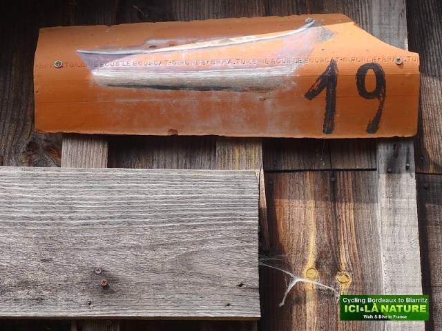 16-biking tour in southwest france