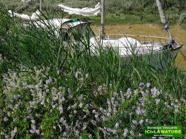 18-walking garonne river