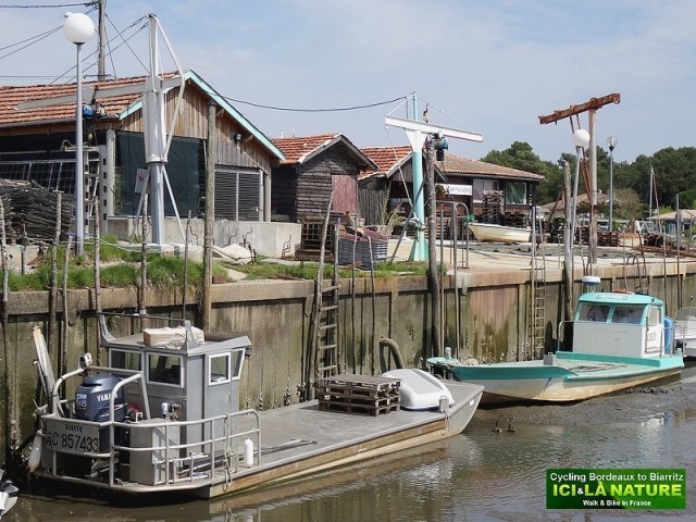 21-huitres bassin arcachon