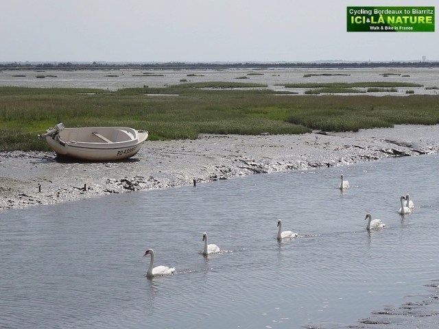 24- port audenge arcachon