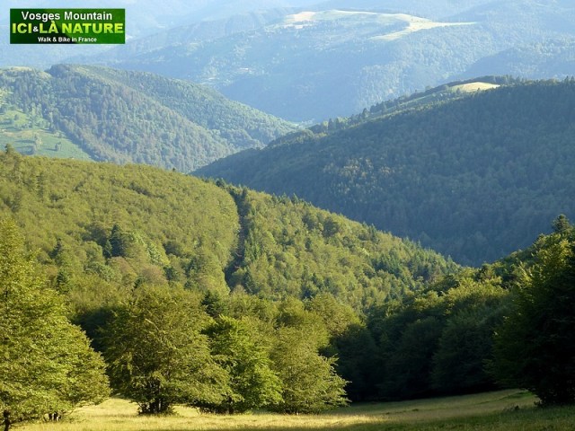 25-panorama ballons vosges