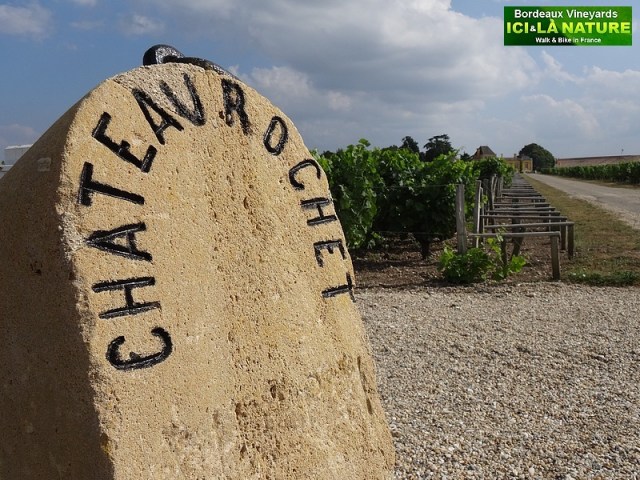 36-chateau rochet bordeaux