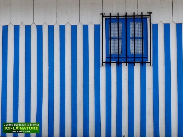 37-cycling bordeaux biarritz atlantic ocean france