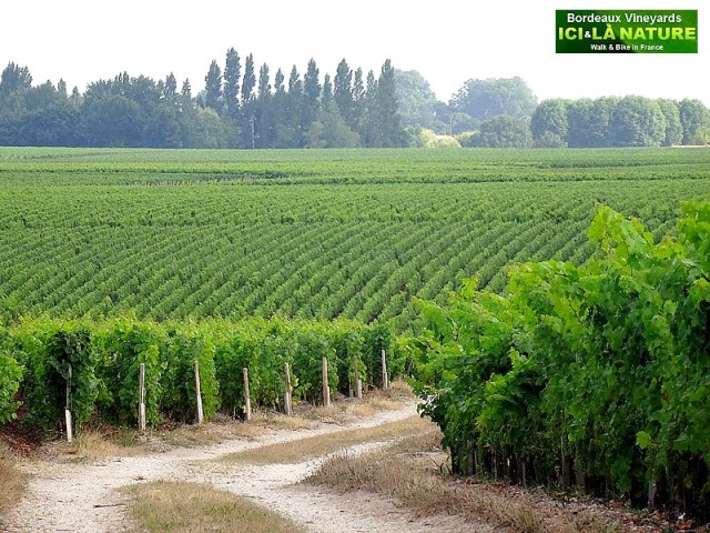 45-biking holidays bordeaux