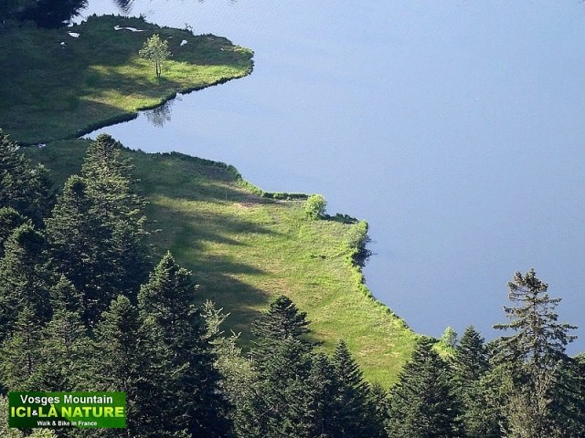 46-paysage des vosges