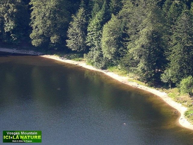 47-paysage lac des vosges