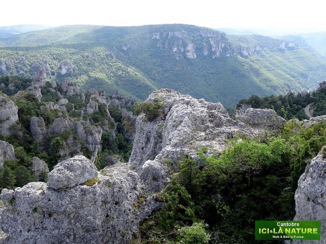 54- paysage causses cevennes