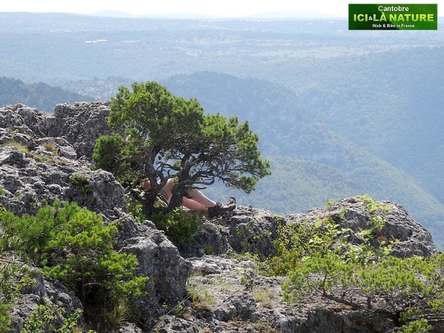 56- randonnees dans les cevennes grands causses