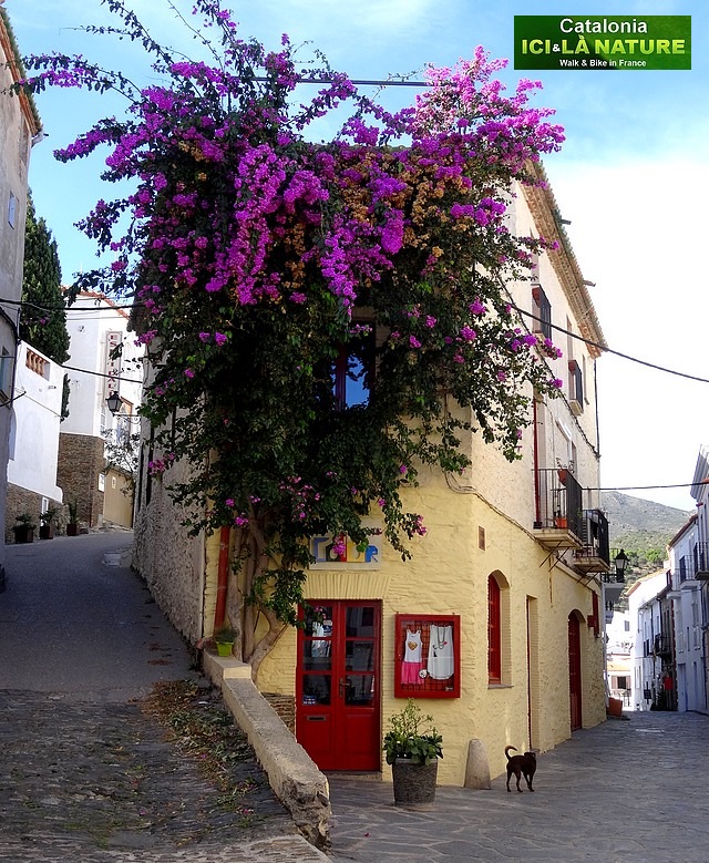 62- walk in spain city