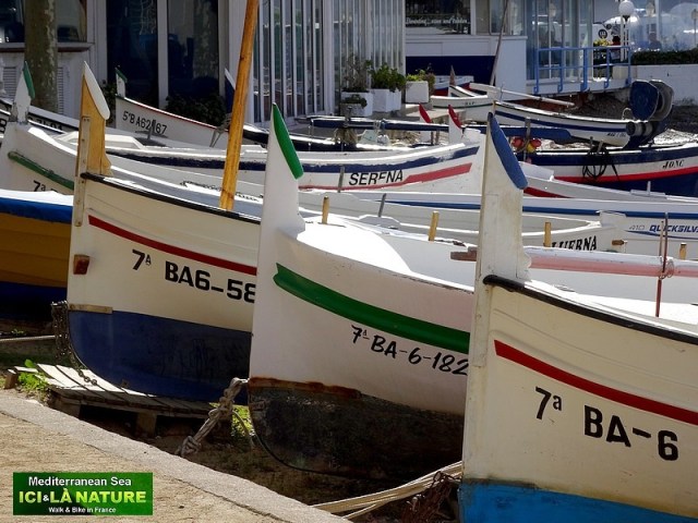 03-spain fish boats