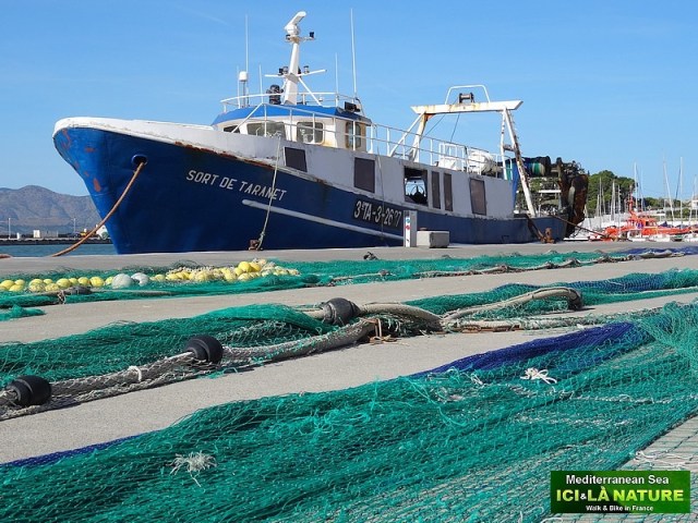 05-walking holidays collioure cadaques