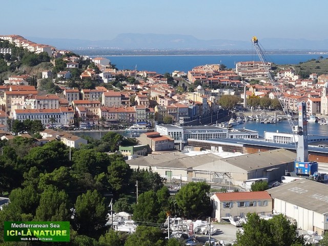 102-vacances port-vendres