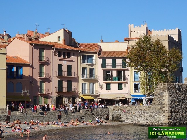 104-vacances collioure