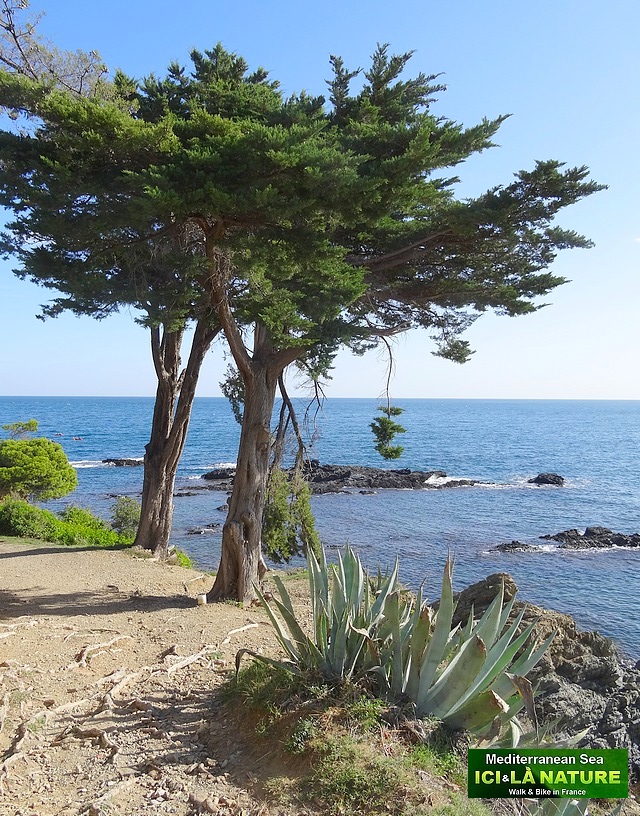 15- what to see mediterranean coast