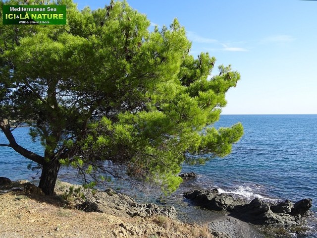 21-randonner en espagne