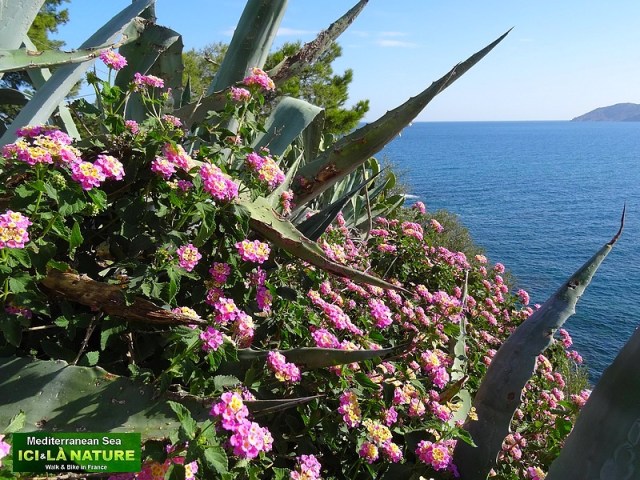 26- where hike in spain barcelona