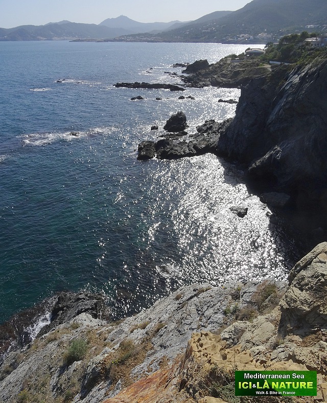 28-walking from collioure to cadaques