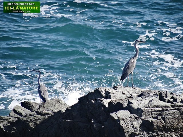 31-walking trail in spain