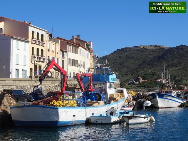 56-port-vendres walking collioure cadaques
