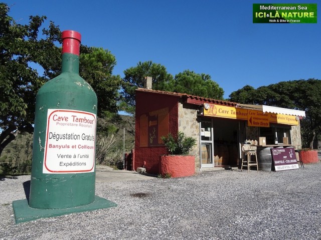 62- cave tambour banuyls