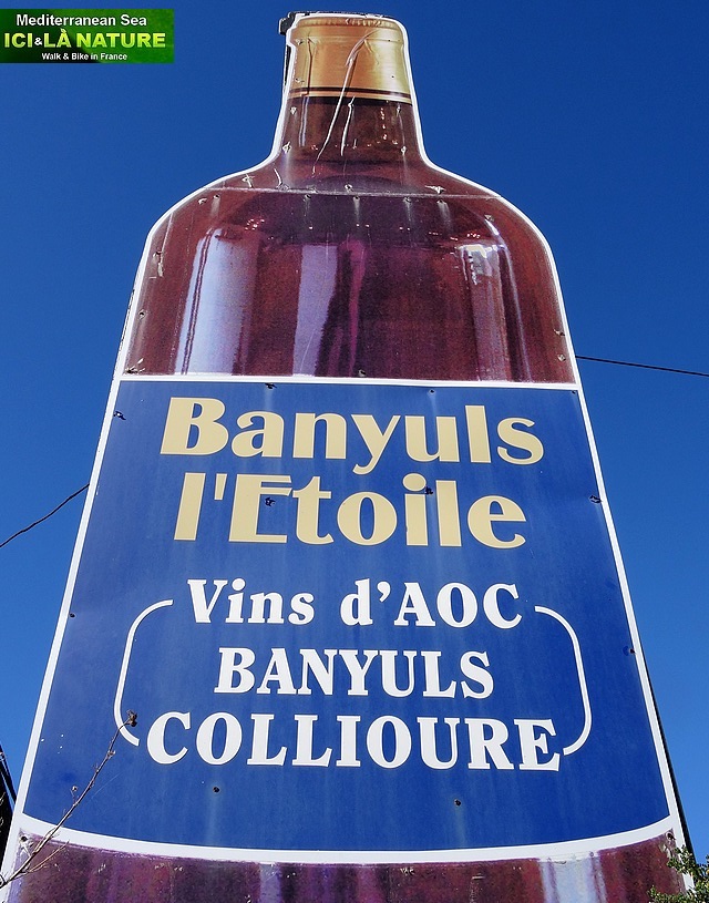 64-banyuls l etoile banyuls collioure
