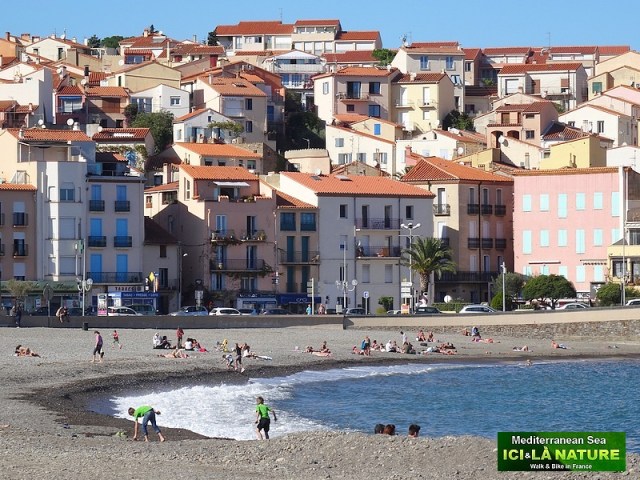 65- banyuls collioure
