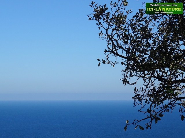 74-mediterranean sea