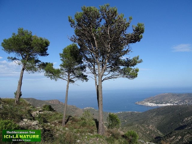 93-walking tour mediterranean sea