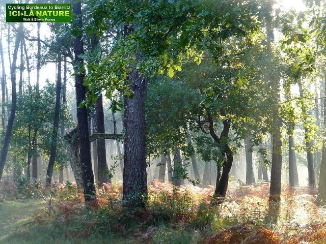 04-french trip holidays atlantic surf coast