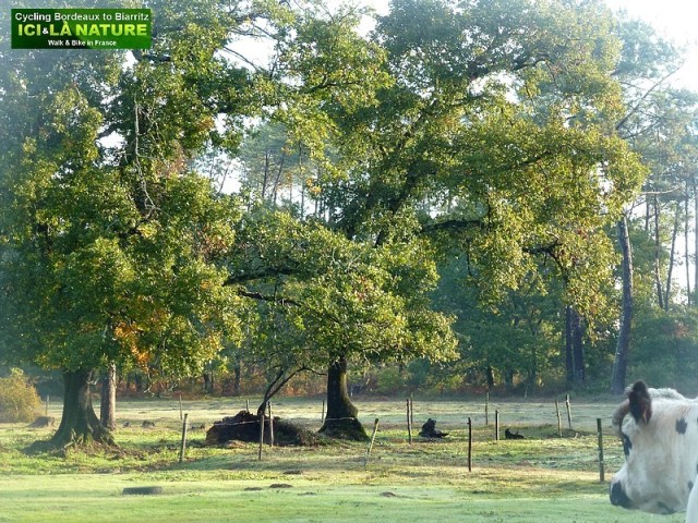 08-cycling tour in france bordeaux spain