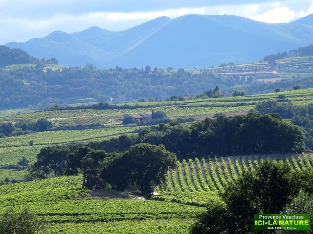 12-provence mountains