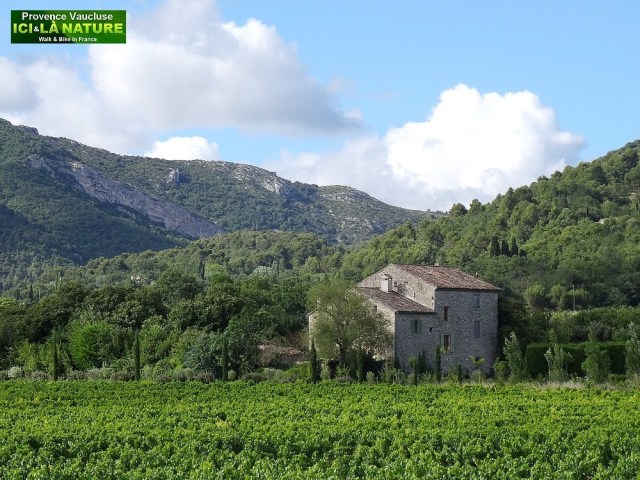 21-paysage vaucluse le crestet