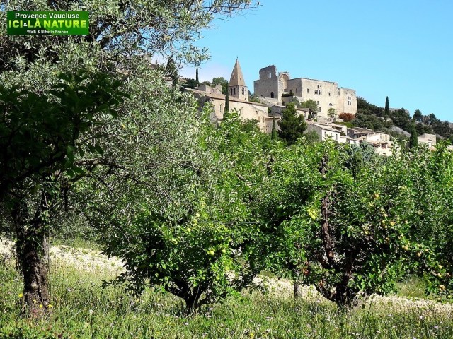 23-village perché provence le crestet