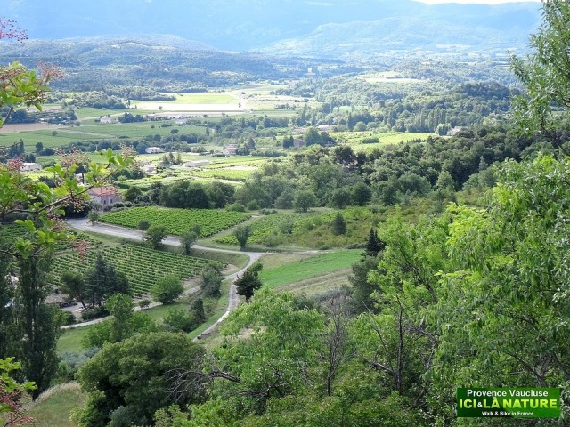 25-paysage vaucluse provence