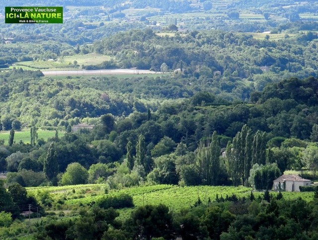 29-paysage du vaucluse