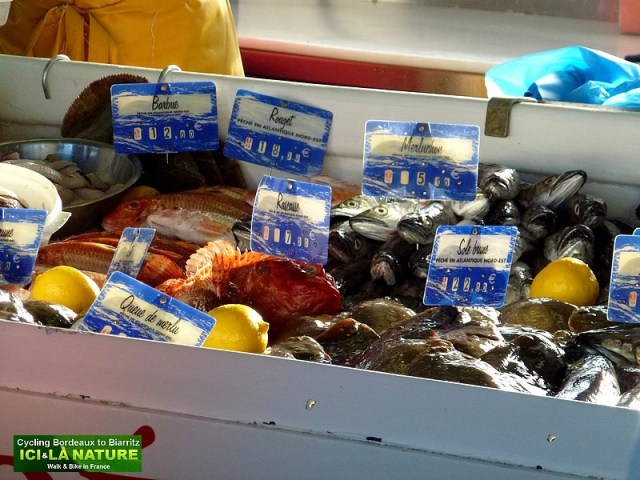 30-poissonnerie criée port de capbreton