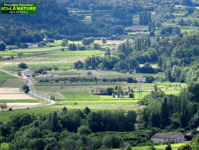 30-provence landscape