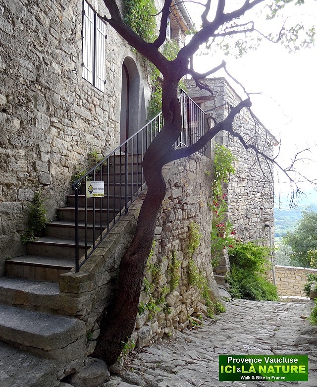 40-old street provence village